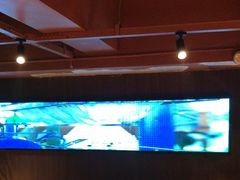 -雪熊精酿·哈尔滨烧烤酒馆(非遗大串店)