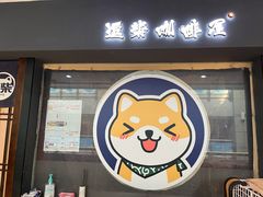 门面-逗柴咖啡屋·狗咖猫咖宠物桌游
