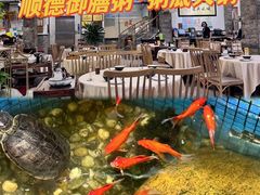 -御膳粥·牛乳粥底火锅·地道顺德菜(容桂店)