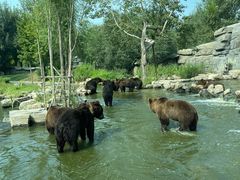 -北京野生动物园