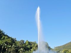 -西双版纳原始森林公园