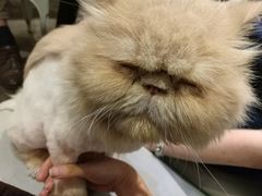 -小时光咖啡馆(开森度假森林店)