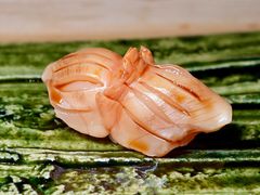 赤贝-AKIMOTO秋本寿司(双井店)