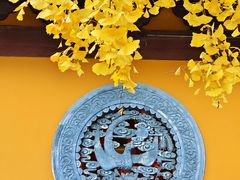 -龙华寺