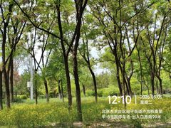 -绿堤公园