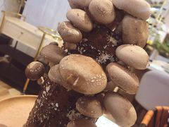 -椰子营·椰子鸡火锅(万象里店)
