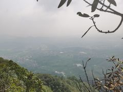 -午潮山国家森林公园
