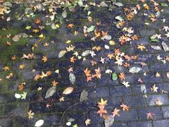 波罗峪休闲度假区-波罗峪风景区