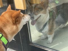 -小意思咖啡店(草桥店)