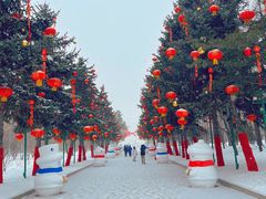 -哈尔滨音乐公园