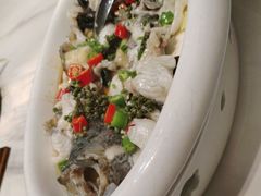 -陶缘一号·四季缘·老字号顺德菜·户外婚礼家宴(西滘店)
