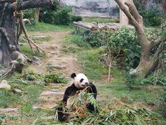 -石排湾郊野公园
