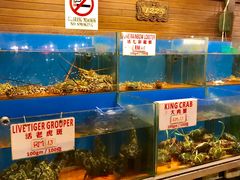 -真浪花园海鲜餐馆