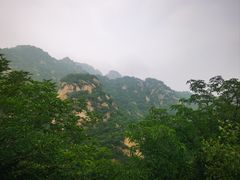 -大岭沟猕猴桃谷风景区
