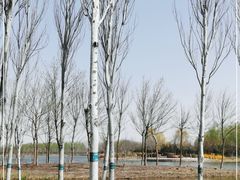 -东郊湿地公园