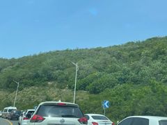 -苏州太湖西山岛开心农场
