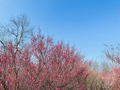 -南京市江宁方山