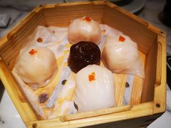 -钟菜·粤菜点心·宴请(海上世界·汇港二期店)