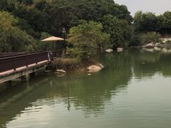 -厦门悦华酒店