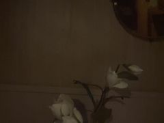 -蓉府金足印象(草市街店)