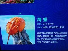 -波塞冬旅游度假区