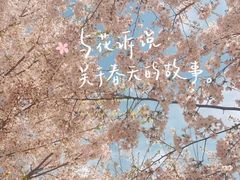 -泰丰公园