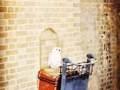 -九又四分之三站台