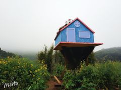 -广州市石门国家森林公园
