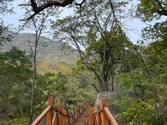 -大岭沟猕猴桃谷风景区