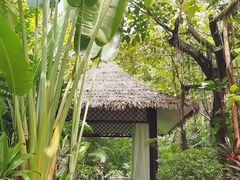 -碧桂园润杨溪谷温泉酒店