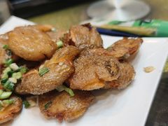 -双湖农庄