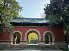 -灵谷景区