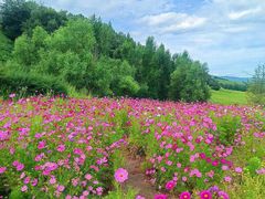 -新疆那拉提国家旅游度假区