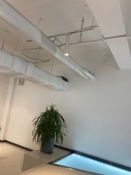 -I+造型烫发染发