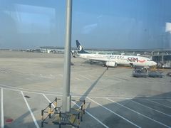 -青岛胶东国际机场