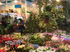 -双季花艺园艺市场(浦东店)