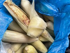-曼丢傣家古寨
