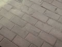-大众海鲜(巨龙北路店)