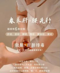 -玛莲朵·海菲秀冰珀科