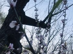 -文瀛公园