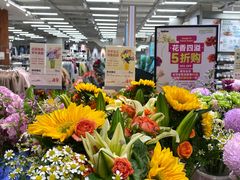 -合景·悠方(成都店)