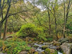 -玉渡山自然风景区