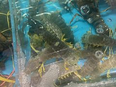 -徐记海鲜(明德门店)