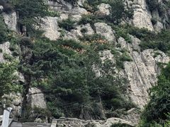 -偏爱炒鸡(老县衙店)