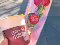 鲜芋青稞牛奶-CoCo都可(天虹广场)