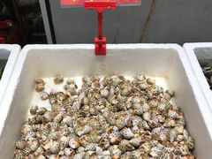 -蚝专家(北滘店)