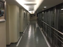 -深圳东部华侨城茵特拉根酒店