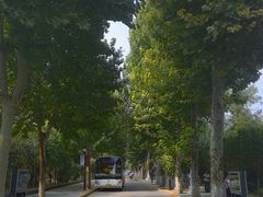 -山东大学(洪家楼校区)
