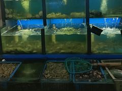 -老东镇啤酒屋海鲜加工·蒸汽海鲜·海鲜烧烤(台东店)