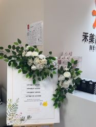 -禾美嘉医疗美容